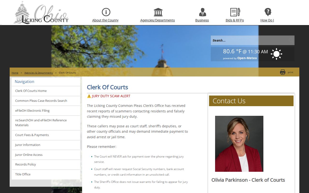 Licking County release court record search entry point